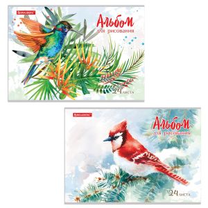 Альбом для рисования А4 24 л., скоба, обложка картон, BRAUBERG, 202х285 мм, «Райские птички» (2 вида), 105609