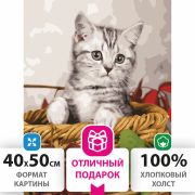 Картина по номерам 40х50 см, ОСТРОВ СОКРОВИЩ «Котёнок», на подрамнике, акриловые краски, 3 кисти, 662468