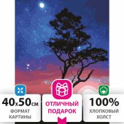 Картина по номерам 40х50 см, ОСТРОВ СОКРОВИЩ «Звездная ночь», на подрамнике, акриловые краски, 3 кисти, 662495