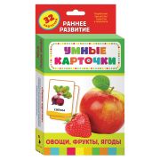 Карточки развивающие «Овощи, фрукты, ягоды», 32 карточек, 0+, Котятова Н.И., Росмэн, 20988