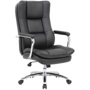 Кресло офисное BRABIX PREMIUM «Amadeus EX-507», экокожа, хром, черное, 530879