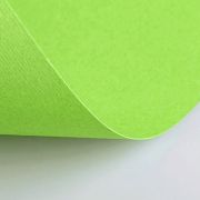 Бумага (картон) для творчества (1 лист) Fabriano Elle Erre А2+ 500х700 мм, 220 г/м2, светло-зеленый, 42450710