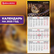 Календарь квартальный на 2025 г., 3 блока, 3 гребня, с бегунком, мелованная бумага, BRAUBERG, «Символ года», 116132