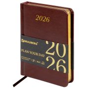 Ежедневник датированный 2026, МАЛЫЙ ФОРМАТ 100х150 мм, А6, BRAUBERG «Iguana», под кожу, коричневый, 117253