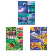 Тетрадь А4, 96 л., HATBER, скоба, клетка, обложка картон, «Разноцветный мир» (3 вида), 96Т4В3